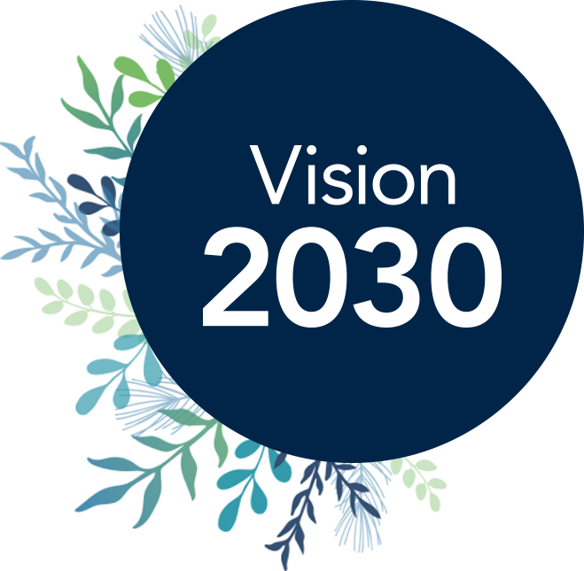 Vision 2030 left